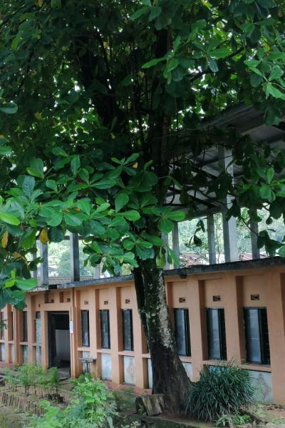 Img 20221019 Wa02091